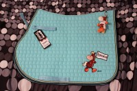 /album/a2011/blogiin-2-jpg/